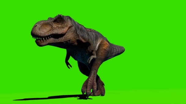 Tyrannosaurus Rex Wandelen Groen Scherm — Stockvideo