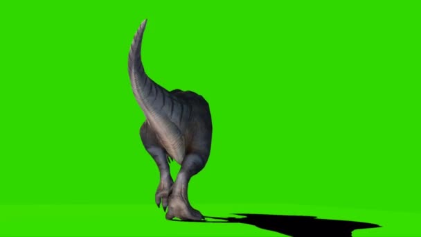 Tyrannosaurus Rex Caminando Pantalla Verde — Vídeos de Stock