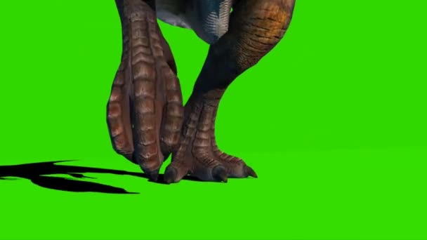 Tyrannosaurus Rex Auf Grünem Bildschirm — Stockvideo