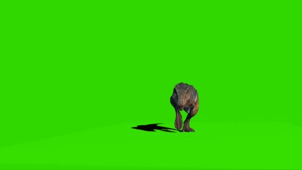 Tyrannosaurus Rex Caminando Pantalla Verde — Vídeo de stock