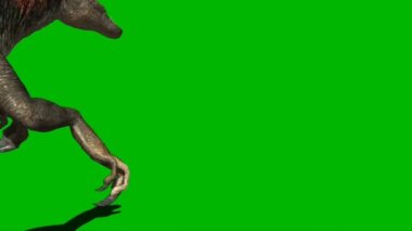 Velociraptor Attacking on Green Screen