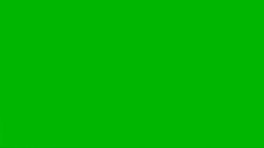 Velociraptor Attacking on Green Screen