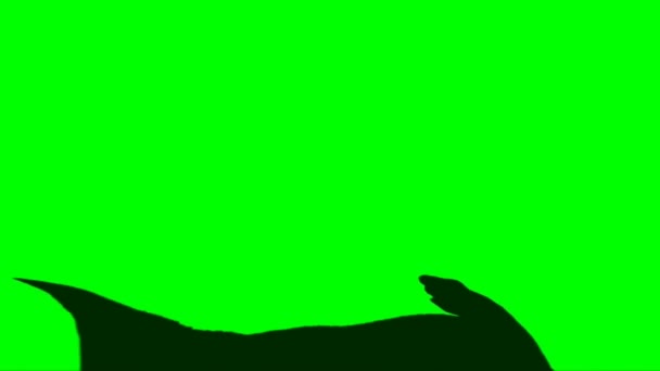 Velociraptor Attacking Green Screen — Vídeo de Stock