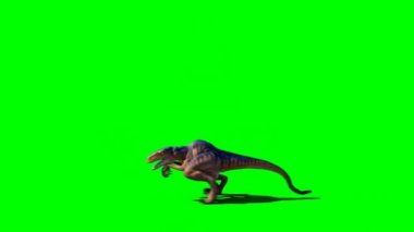 Velociraptor Roaring on Green Screen
