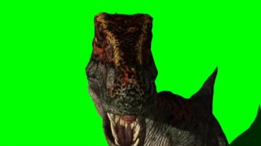 Velociraptor Roaring on Green Screen
