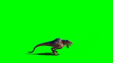 Velociraptor Roaring on Green Screen