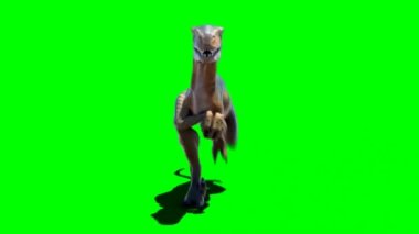 Velociraptor Running on Green Screen
