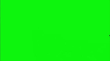 Velociraptor Running on Green Screen