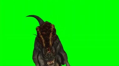 Velociraptor Walking on Green Screen
