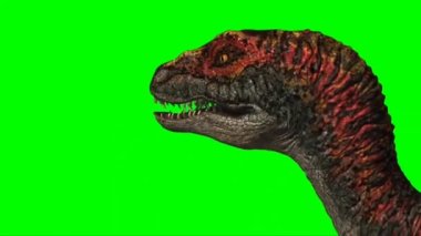Velociraptor Walking on Green Screen
