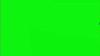 Velociraptor Walking on Green Screen