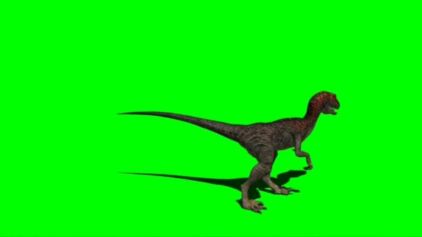 Velociraptor Roaring Green Screen — 비디오