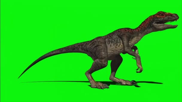 Velociraptor Roaring Green Screen — ストック動画