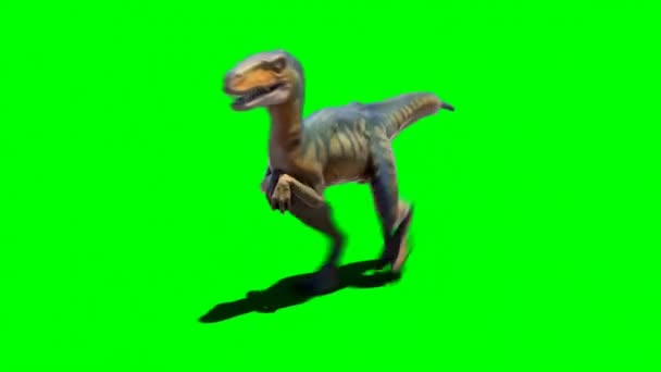 Velociraptor Running Green Screen — Vídeo de stock