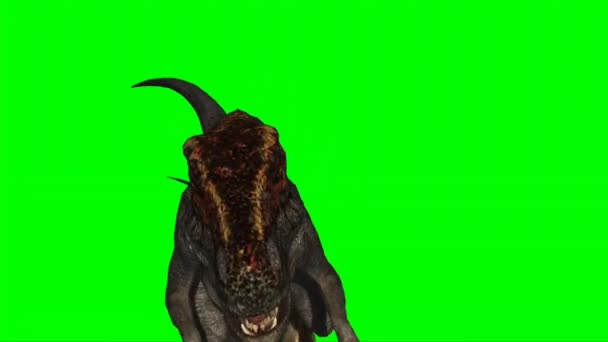 Velociraptor Walking Green Screen — Stockvideo