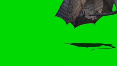 Yeşil Ekranda Ejderha Kükremesi