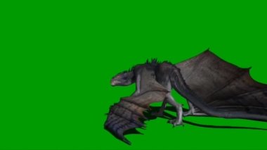 Yeşil Ekranda Uçan Ejder