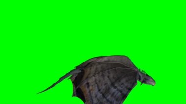 Yeşil Ekranda Uçan Ejder