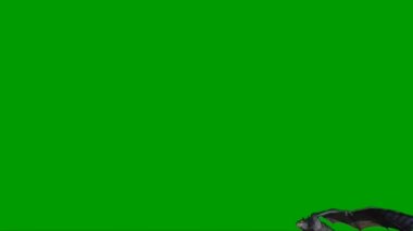 Yeşil Ekranda Uçan Ejder