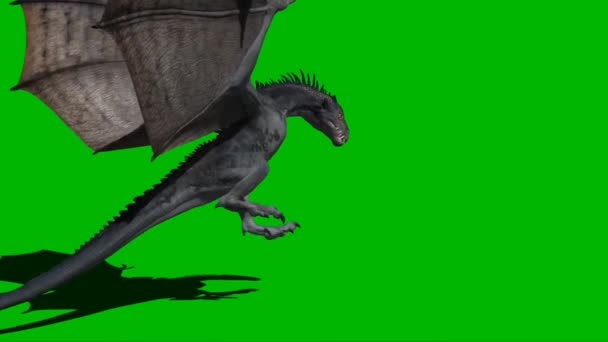 Dragão Respiração Fogo Voando Tela Verde — Vídeo de Stock
