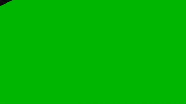 Feueratmender Drache Fliegt Auf Grünem Bildschirm Stock-Filmmaterial