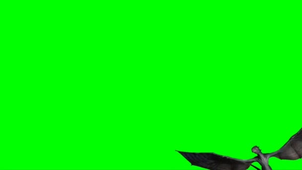 Drago Che Vola Sullo Schermo Verde — Video Stock