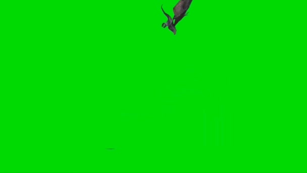 Yeşil Ekranda Ejderha Kükremesi — Stok video