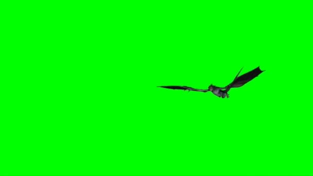 Sárkány Repülő Zöld Képernyőn — Stock videók