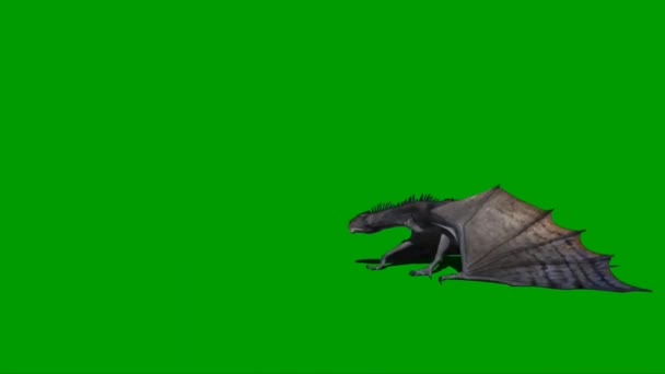 緑の画面でドラゴンフライング — ストック動画