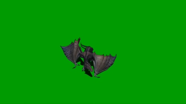 Drachenfliegen Auf Grünem Bildschirm Videoclip