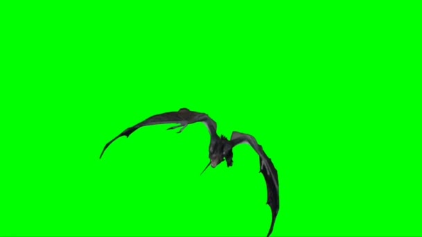 Dragão Voando Tela Verde — Vídeo de Stock