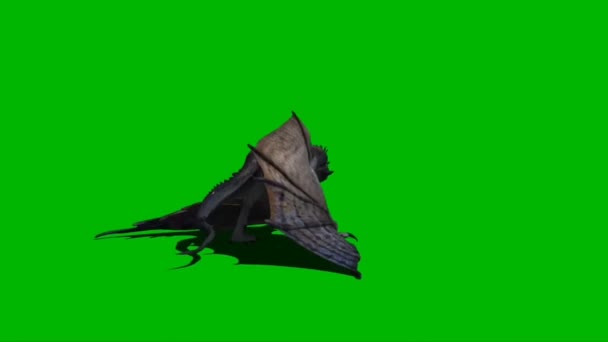 Dragón Volando Pantalla Verde — Vídeos de Stock
