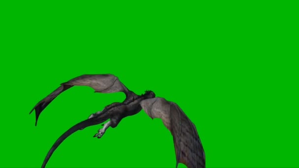 Dragon Flying Groen Scherm — Stockvideo