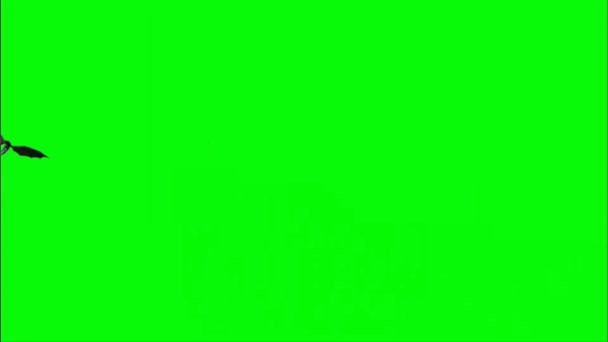 绿幕上的龙鸣 — 图库视频影像