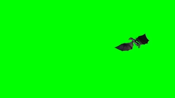 Dračí Létání Zelené Obrazovce — Stock video