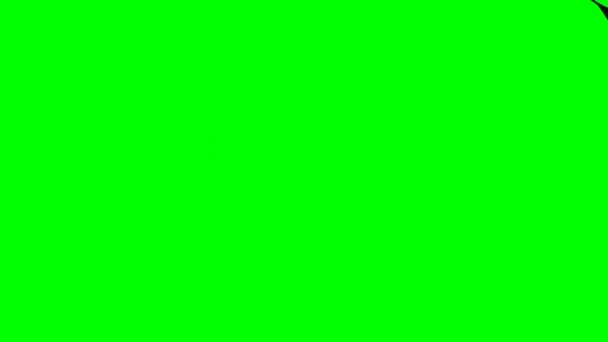 緑の画面でドラゴンフライング — ストック動画