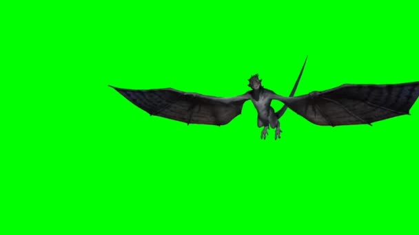 Dragon Flying Green Screen — Stock Video