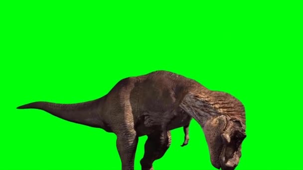 Tiranossauro Rex Rugindo Tela Verde — Vídeo de Stock