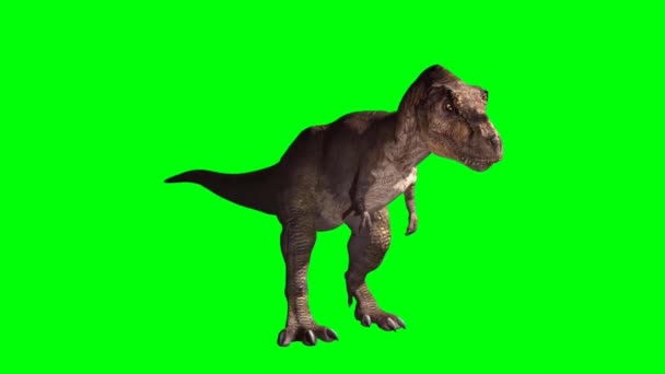 Tyrannosaurus Rex Ruggente Sullo Schermo Verde — Video Stock