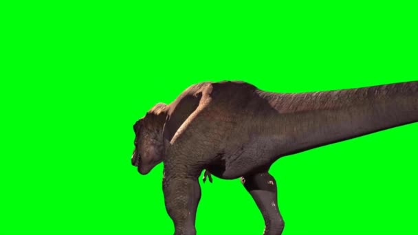 Tyrannosaurus Rex Brüllt Auf Grünem Bildschirm — Stockvideo