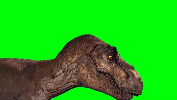 Tyrannosaurus Rex Brüllt Auf Grünem Bildschirm — Stockvideo