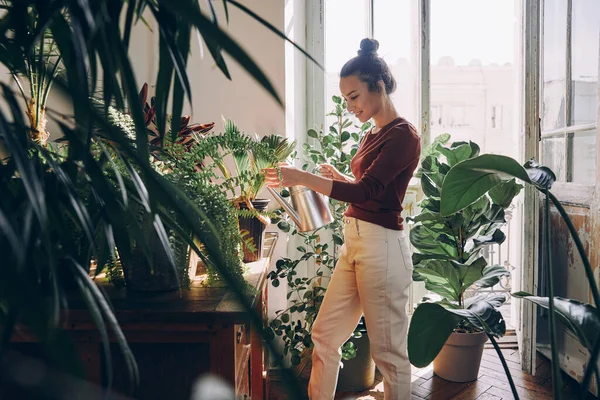 Mooie Jonge Vrouw Water Geven Kamerplanten Terwijl Staan Bij Huiselijke — Stockfoto