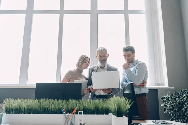 Три Концентровані Бізнесмени Дивляться Ноутбук Під Час Роботи Офісі Разом — стокове фото