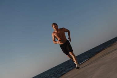 Kendine güvenen kaslı bir adam arka planda deniz varken dışarıda koşuyor.