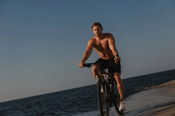Handsome Young Shirtless Man Enjoying Early Morning Seaside While Riding — Stock Photo, Image