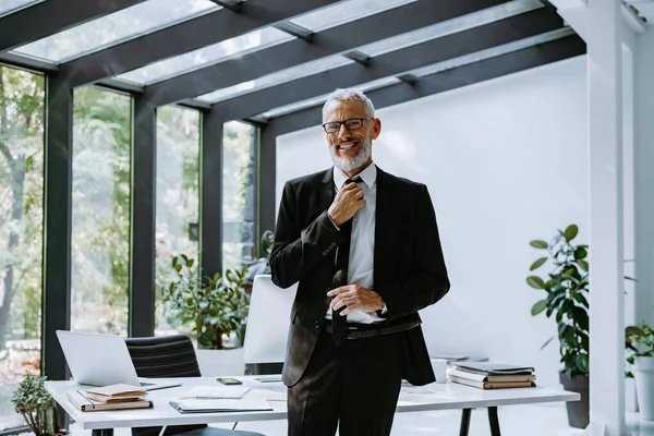 Boldog Érett Üzletember Igazítja Nyakkendőjét Miközben Modern Irodában Áll — Stock Fotó
