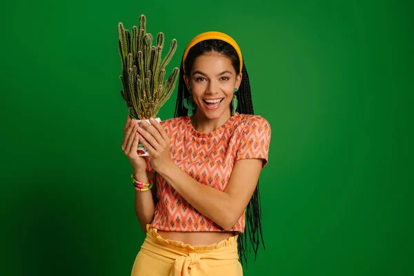 Cheerful young Mexican woman holding cactus and smiling against green background