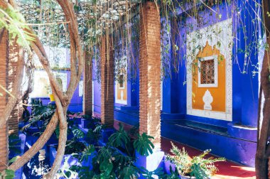 Fas 'taki binanın içindeki Jardin Majorelle' den çiçekler..