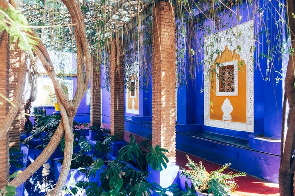 Изображение Цветов Садового Мажореля Внутри Здания Марокко — стоковое фото