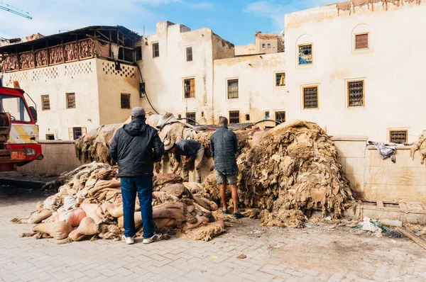 Fez Morocco Fevereiro 2015 Pose Uma Pilha Ovelha Sendo Verificada — Fotografia de Stock